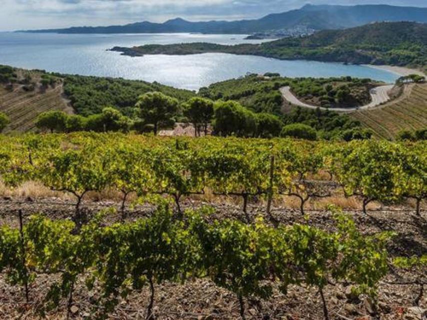 L'Empordà, enclave histórico y también natural.