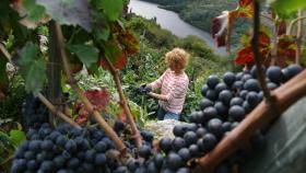 Ribeira Sacra, paraíso por descubrir