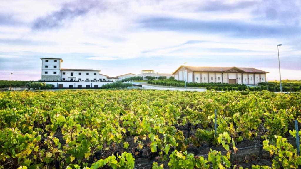 Bodega Marco Real, en Olite (Navarra)