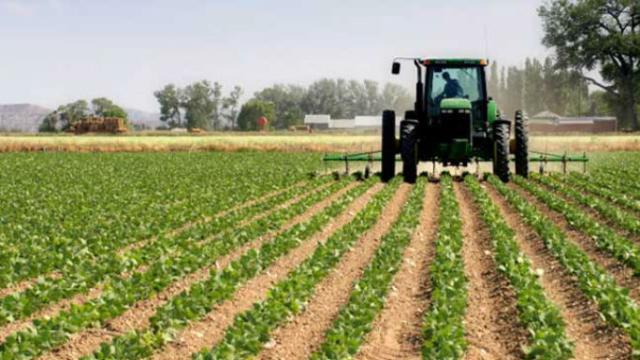Un agricultor trabajando con su tractor