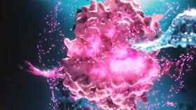 Criptoproteína de DNAverse.