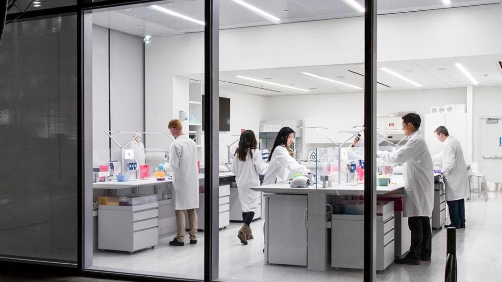 Imagen de unos trabajadores en Novartis
