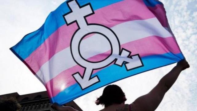 Imagen de archivo de un manifestante con una bandera trans.