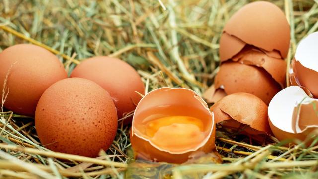 Unos huevos en el campo