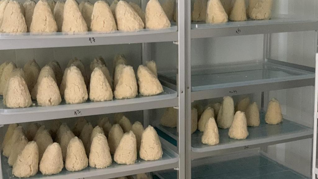 El 'gorollo' que se obtiene de la cuajada y se le da forma de queso.