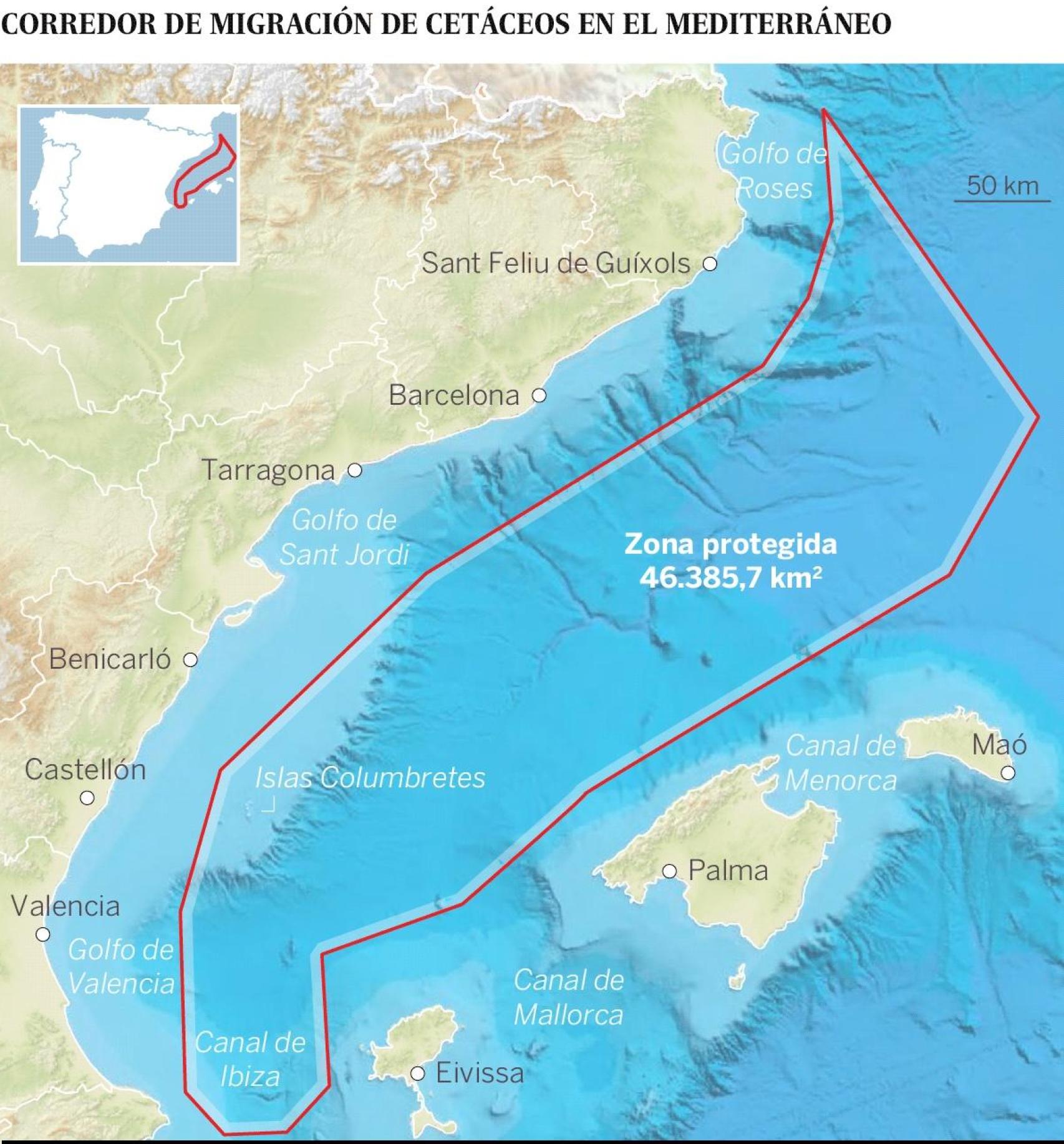 Corredor de Migración de Cetáceos en el Mediterráneo