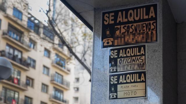 Carteles de 'Se alquila' pegados en un edificio, en Madrid,