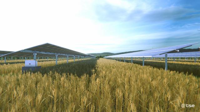 Un parque fotovoltaico de Soltec.
