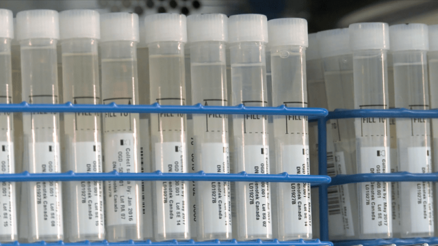Imagen de uno de los laboratorios de 23andMe.