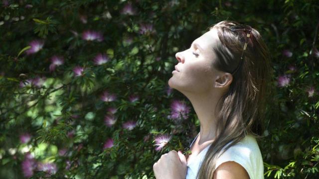 Suplemento Omega 3 de Nature Love
