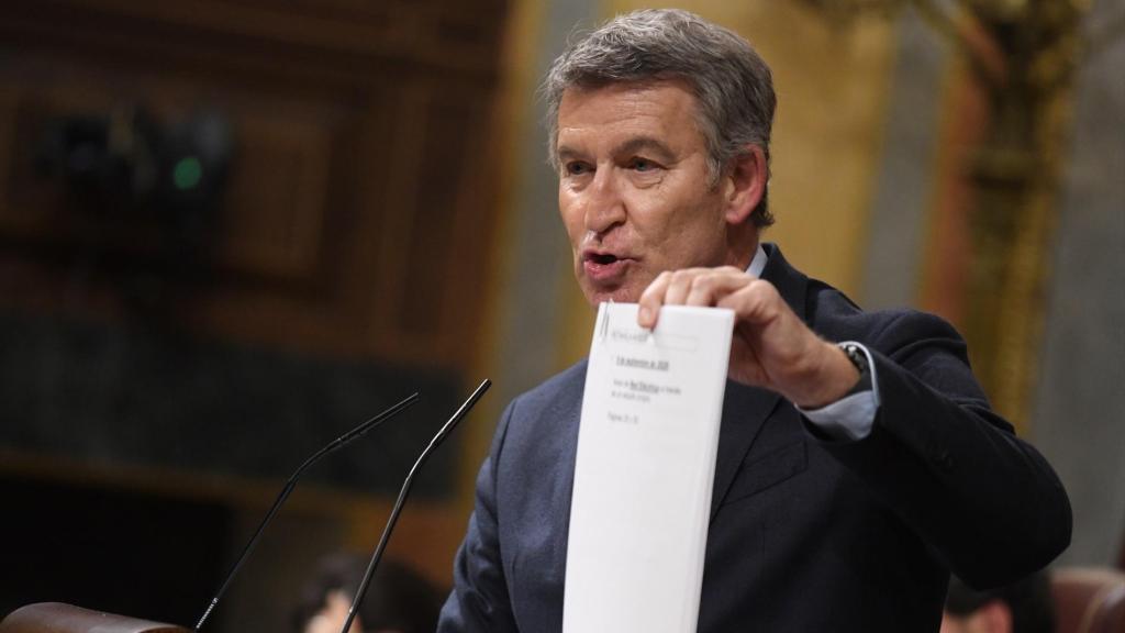 El presidente del PP, Alberto Núñez Feijóo.