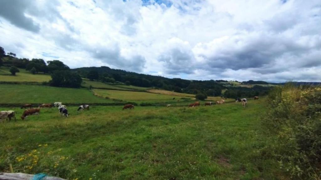 El Sindicato Labrego Galego denuncia que la simplificación de la PAC reduce la protección ambiental
