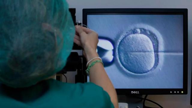 Con el esperma de este donante se habrían concebido más de 67 niños.