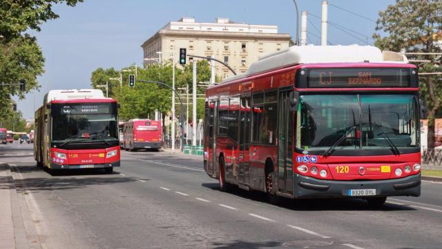 Imagen de archivo de autobuses de Tussam.